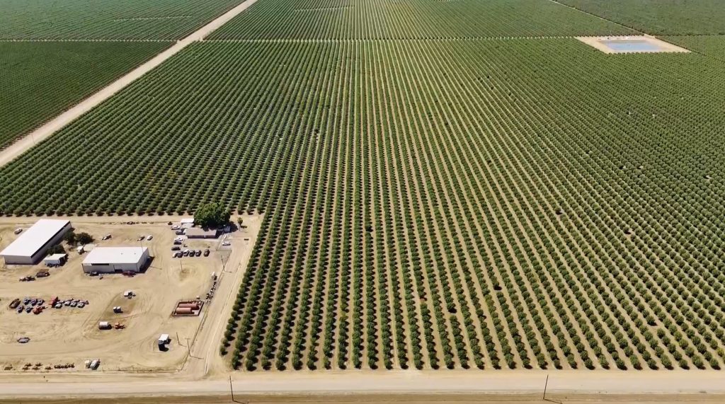 A field of crops with commercial farming buildings